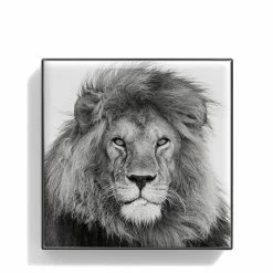 New π― Chantecaille Luminescent Eye Shade β