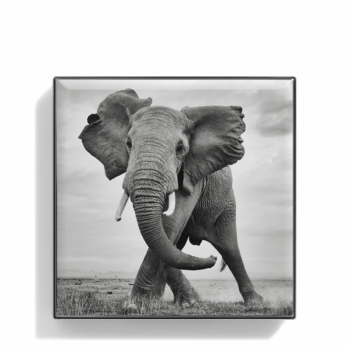 New π― Chantecaille Luminescent Eye Shade β 2 New π― Chantecaille Luminescent Eye Shade β - Image 2