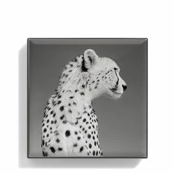 New π― Chantecaille Luminescent Eye Shade β 5 New π― Chantecaille Luminescent Eye Shade β -Outlet Makeup Store WEBP00722001 Q alt2