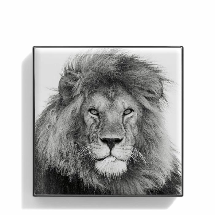 New π― Chantecaille Luminescent Eye Shade β 1 New π― Chantecaille Luminescent Eye Shade β